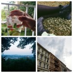 Instagram Résumé: Juni 2014